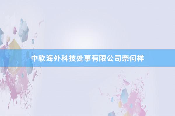 中软海外科技处事有限公司奈何样