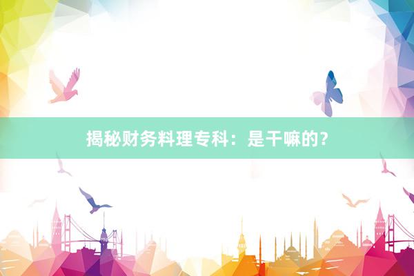 揭秘财务料理专科：是干嘛的？