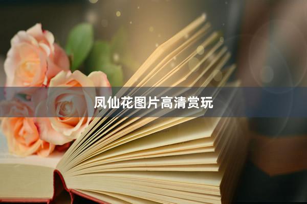 凤仙花图片高清赏玩