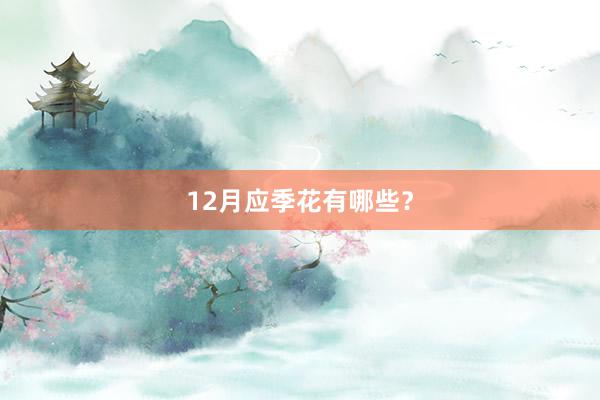 12月应季花有哪些？